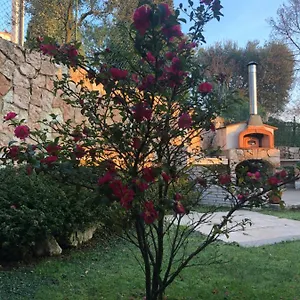 Damiano Appartamento Crespano del Grappa